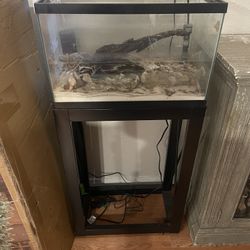 10 Gallon With Stand 