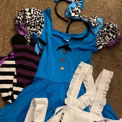 Alice In Wonderland Costume 