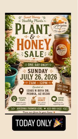 Honey and Plant Pop up!