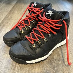 Nike SB Dunk High Boot 