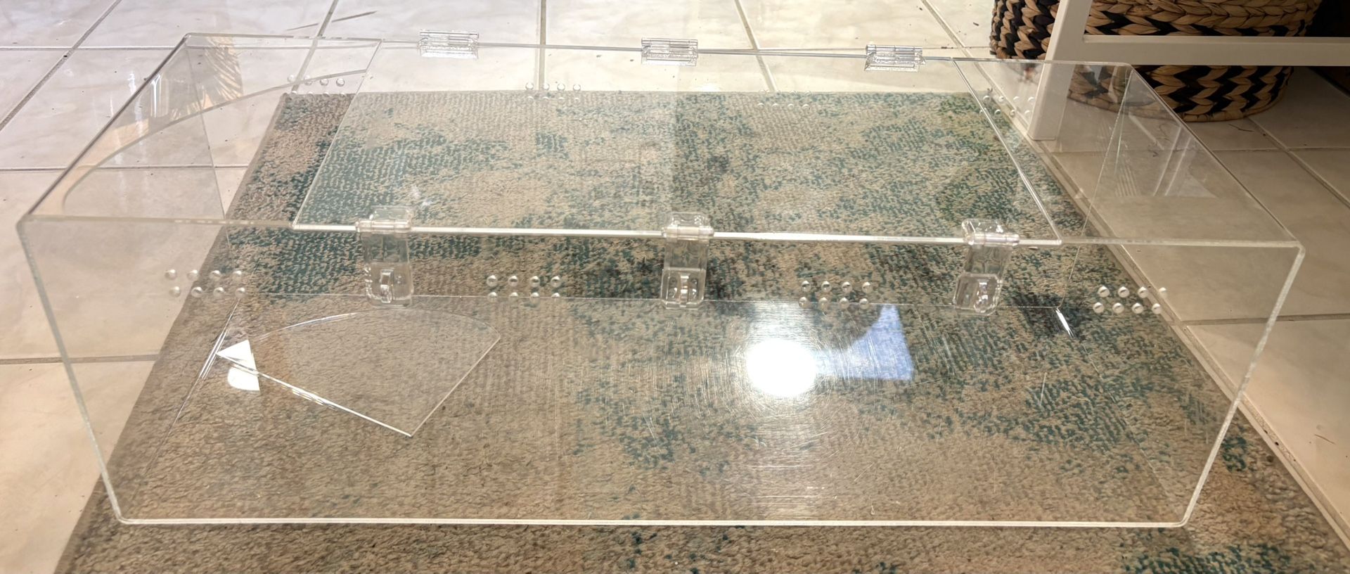 Used 13 Gallon Acrylic Reptile Aquarium/ Terrarium