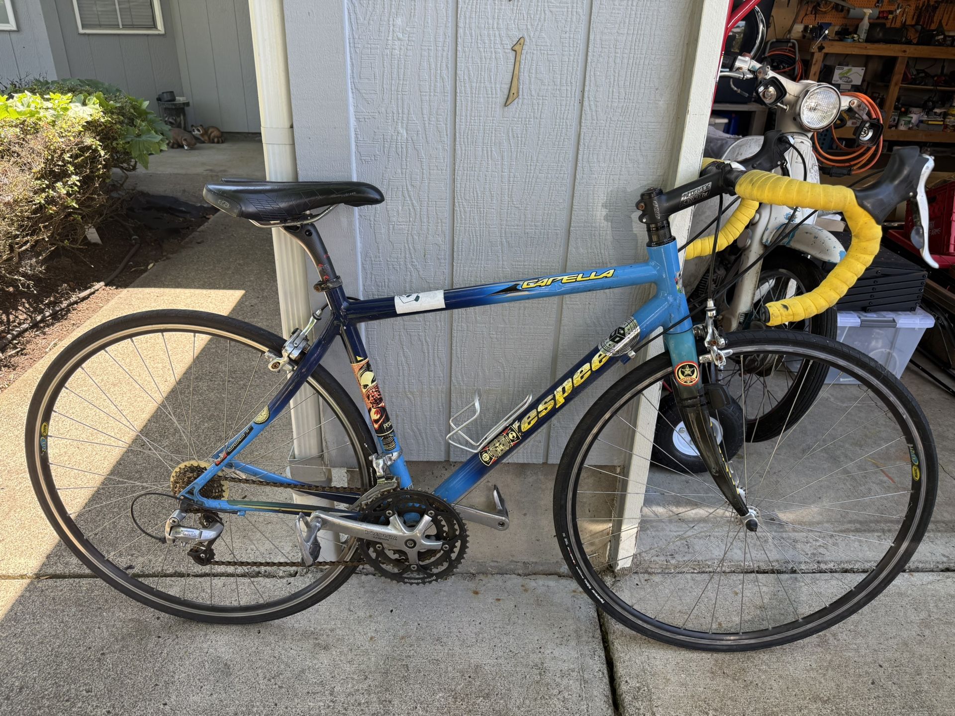 Litespeed Capella