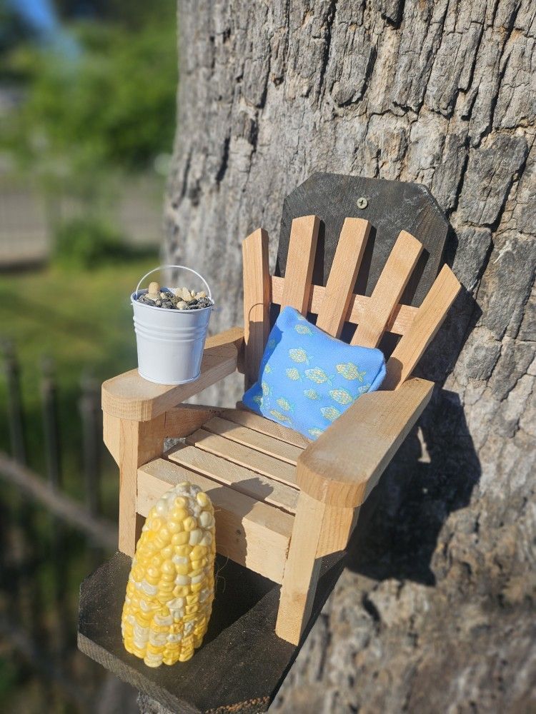 Squirrel Feeders