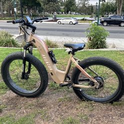 Ebike