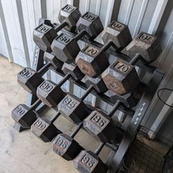 960lbs 65s - 95s Hex Dumbbells Pairs With Rack
