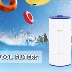Pool Filter Compatible with Sundance Double End For Sale $20.00 50%+ OFF Retail $51.99 NEW IN BOX