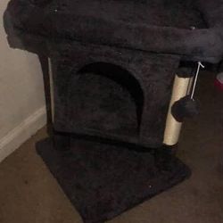 Cat Tree/Scratcher