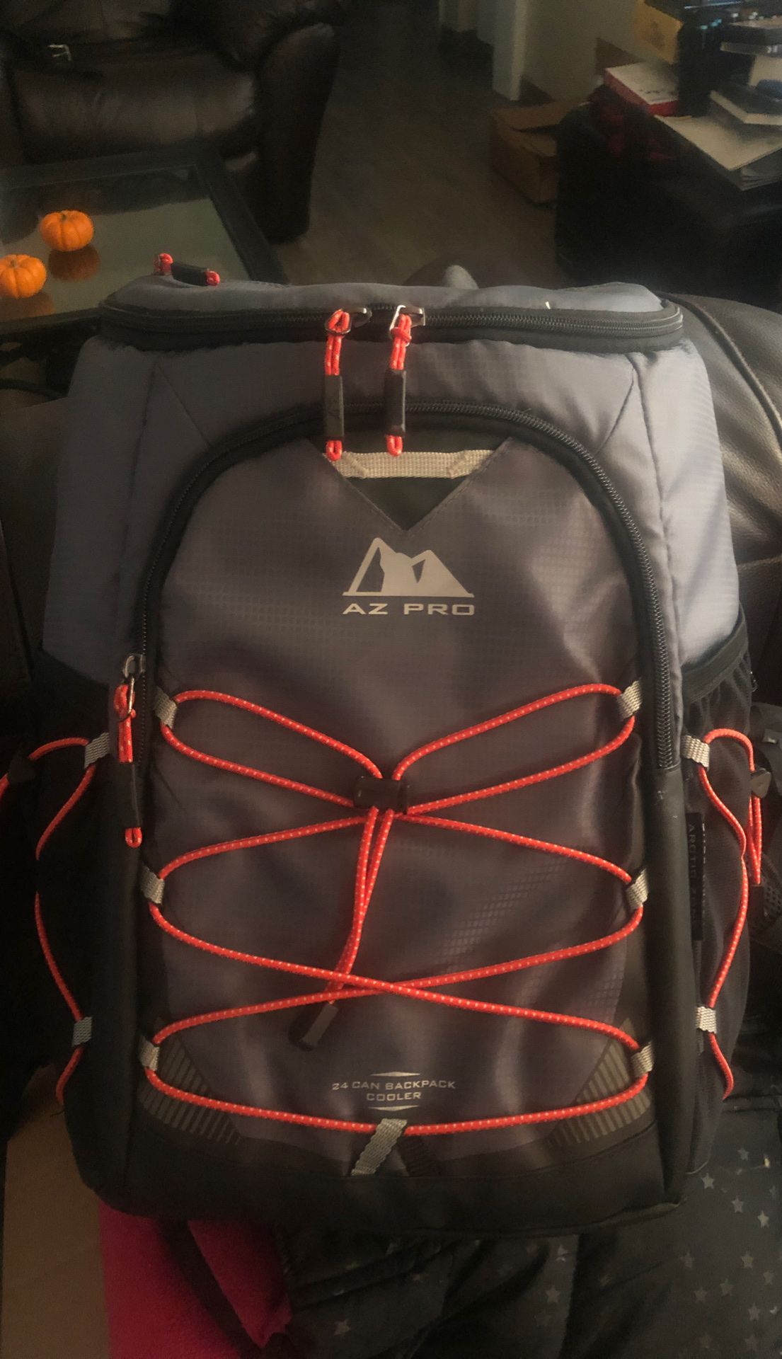 AZ PRO Back Pack cooler $10