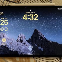 11in iPad Pro M4 2024 WiFi + Cellular 