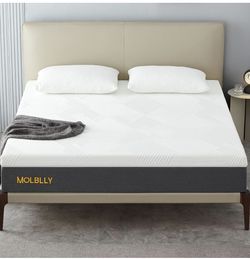 Mollbly Queen Mattress 