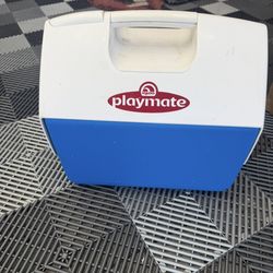 Playmate large cooler