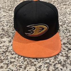 Brand New Swayed Ducks Hat