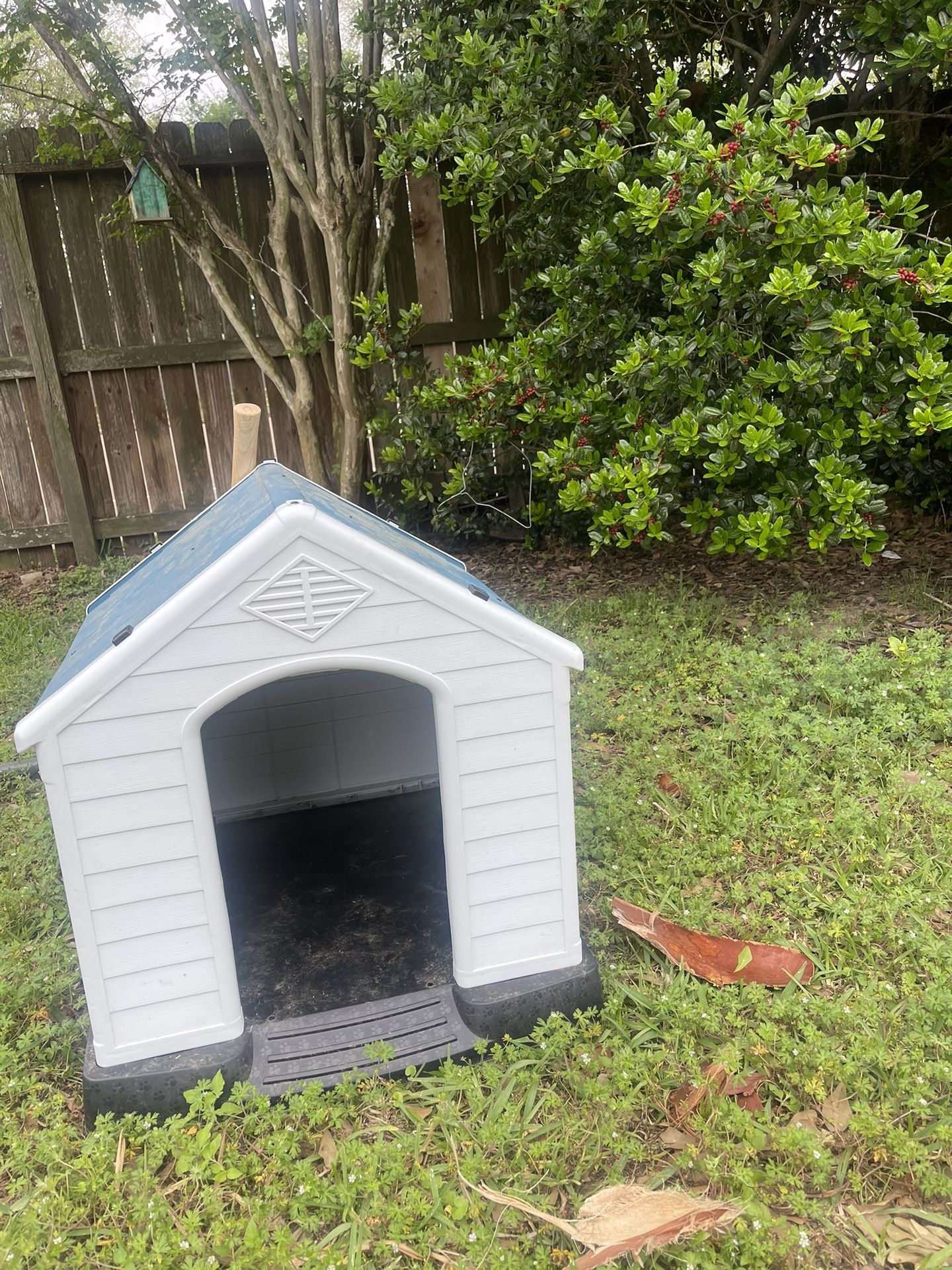 Dog House