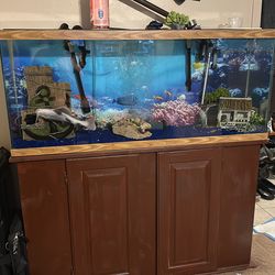 55 gallon tank with stand and tops, normal wear and tear… pick up only