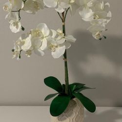 Decorative Orchid Flower With Pot
