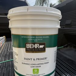 Paint