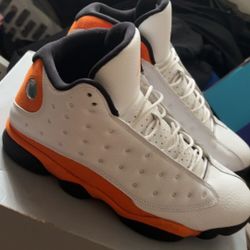 Jordan's Starfish 13 