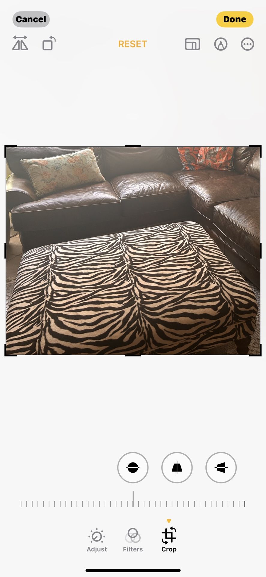 Leather Couch