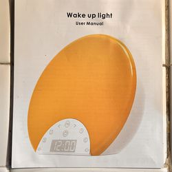 Wake up Lamp