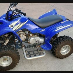 Yamaha Raptor 80 