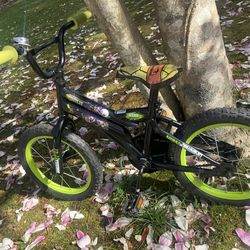 Kids Ninja Turtle Bike