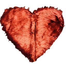 Heart Rug
