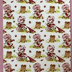 Strawberry Shortcake Blanket NWT 