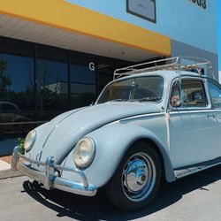 1966 Volkswagen Bug