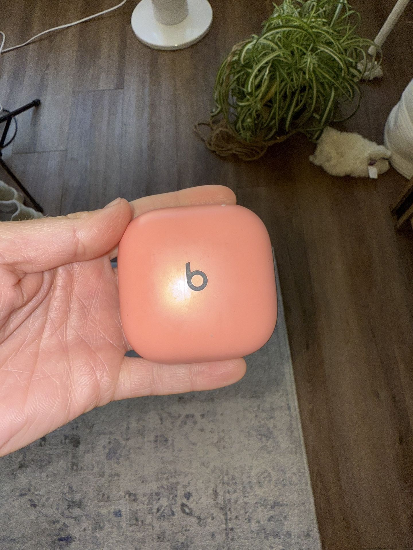 Beats Fit pro Earplugs