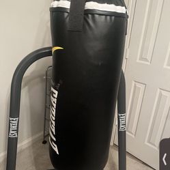 Punching Bag