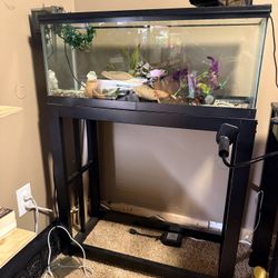 20 Gallon Breeder Tank And Stand