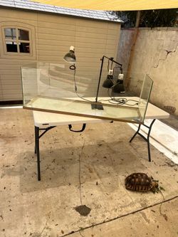 Turtle cage