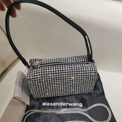 Alexander Wang heiress pouch in crystal mesh