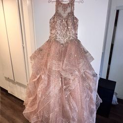 15 Dress/ Quinceañera dress