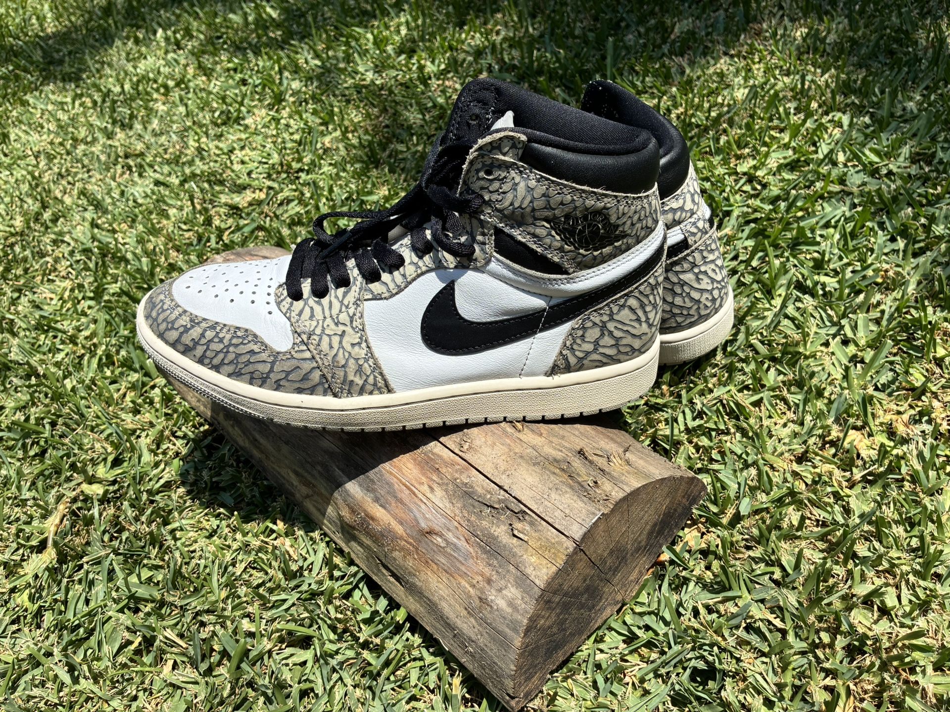 Jordan Elephant Print