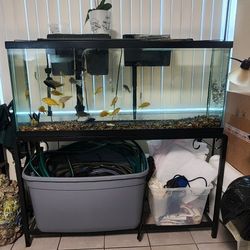 55 Gallons Fish Tank And Stand