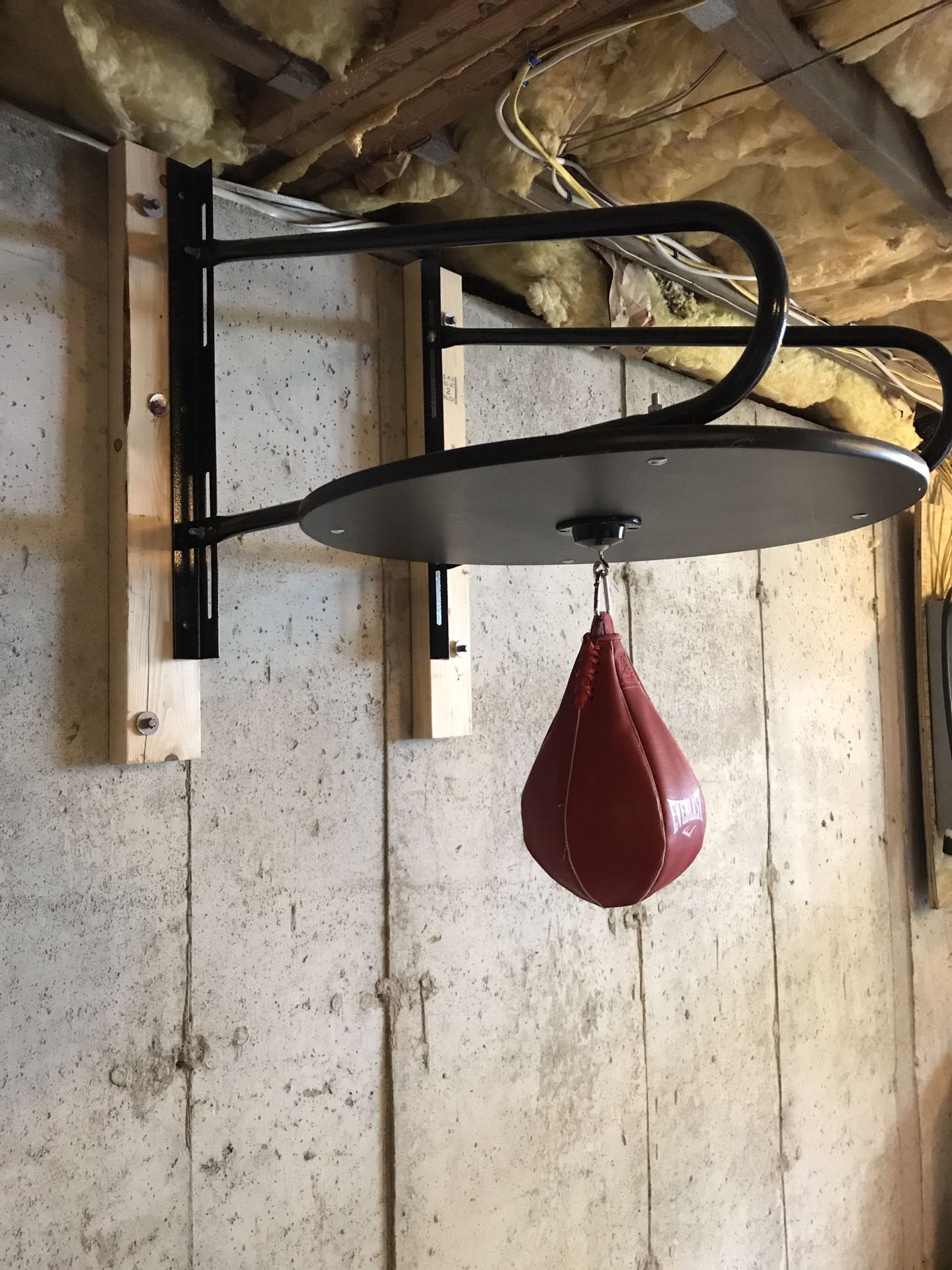 Speed bag