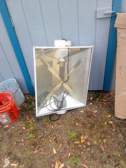 Hydroponic Grow Light