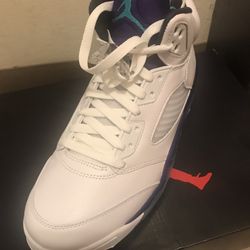 Jordan 5 Grape Size 9