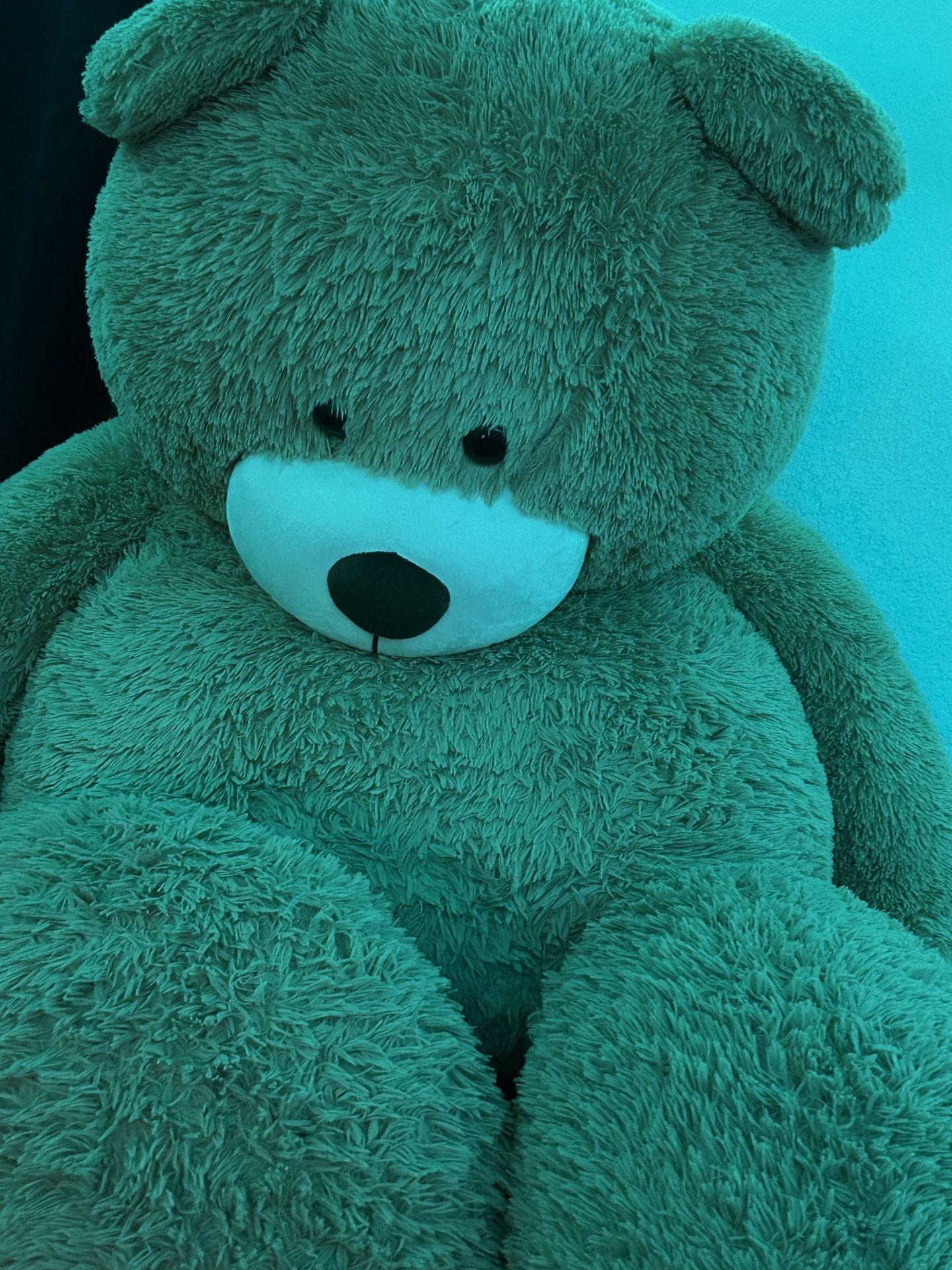 Giant Teddy Bear