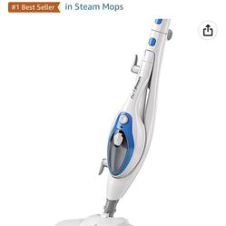 Pur Steam Steamer