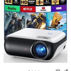 LCD Projector