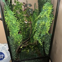 reptile tank 