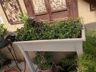 Large succulent planter