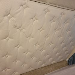 Organic Cotton Full Standard Mattress & Box Spring