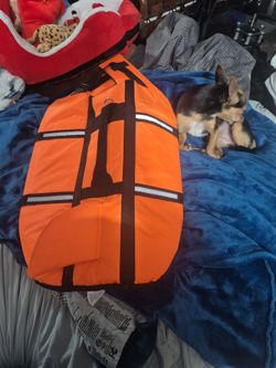 Doggie life vest