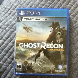 PS4 Disk Game 