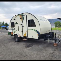 2014 Forest River R Pod