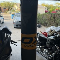 Punching Bag