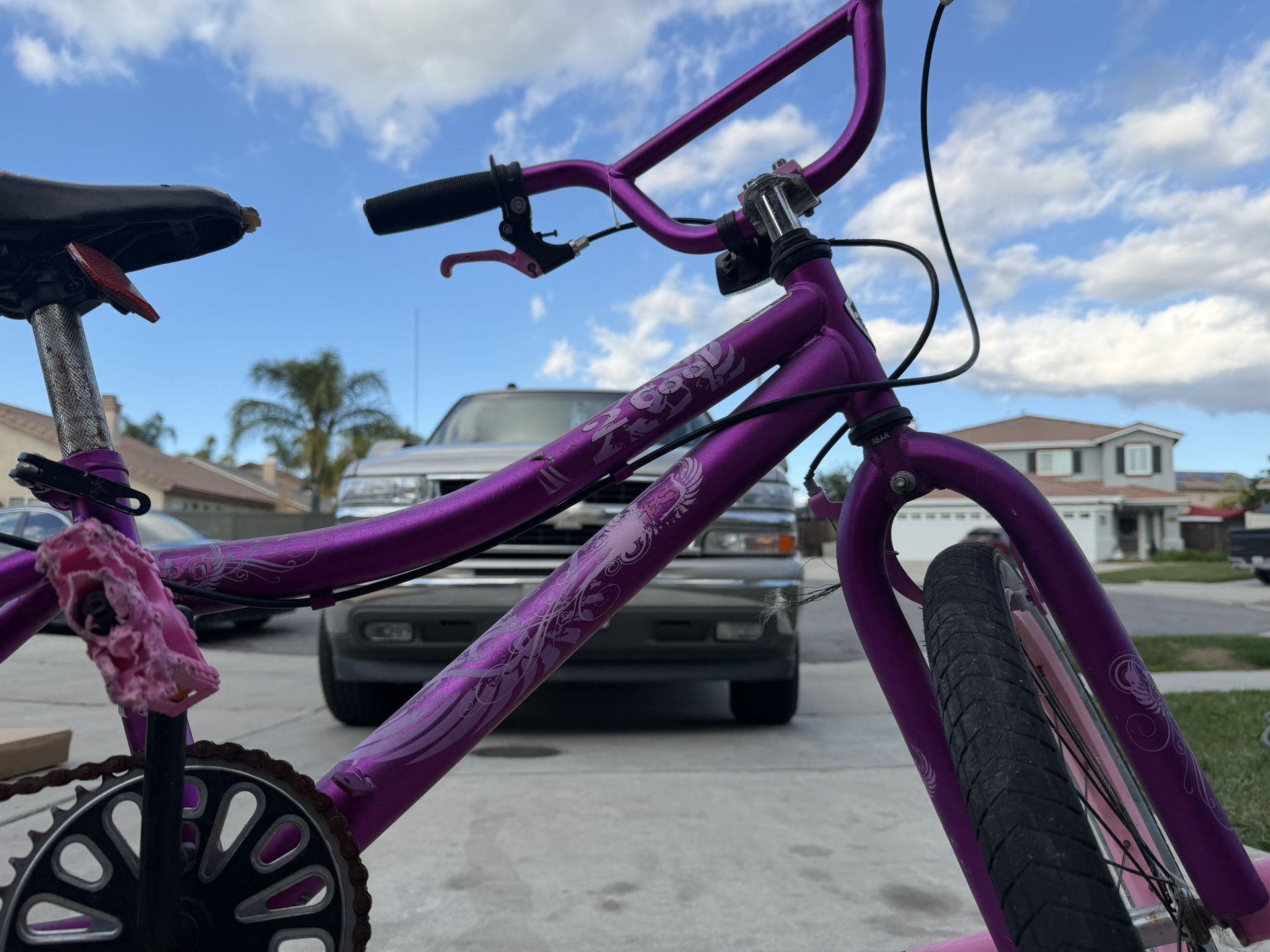 Purple Bike Girls